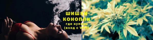 ГАЛЛЮЦИНОГЕННЫЕ ГРИБЫ Алзамай