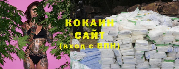 ГАЛЛЮЦИНОГЕННЫЕ ГРИБЫ Алзамай