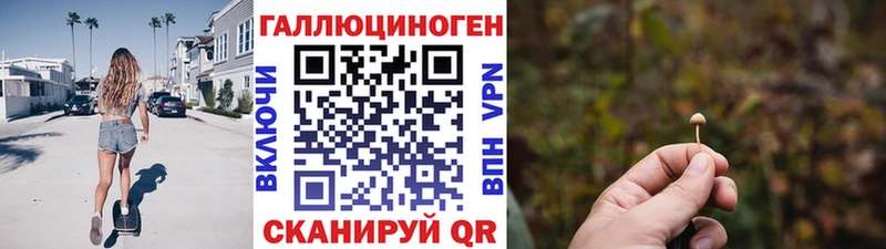 Галлюциногенные грибы Psilocybine cubensis  блэк спрут ССЫЛКА  Зверево 
